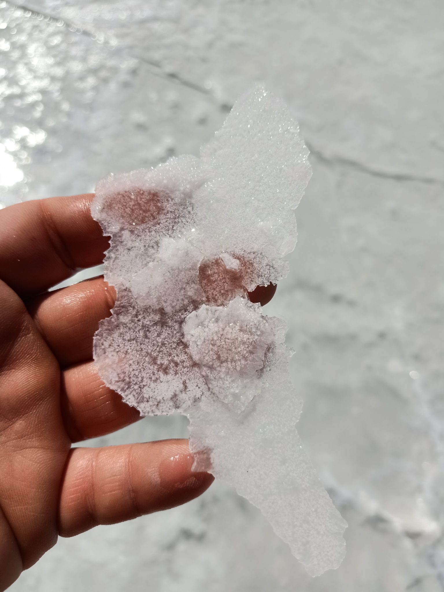 Fleur De Sel West Australian Desert Salt Flakes Fleur De Sel 450g