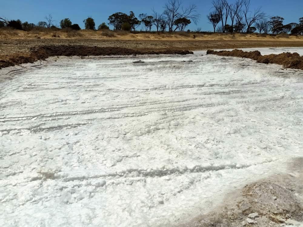 Desert Salt versus Sea Salt